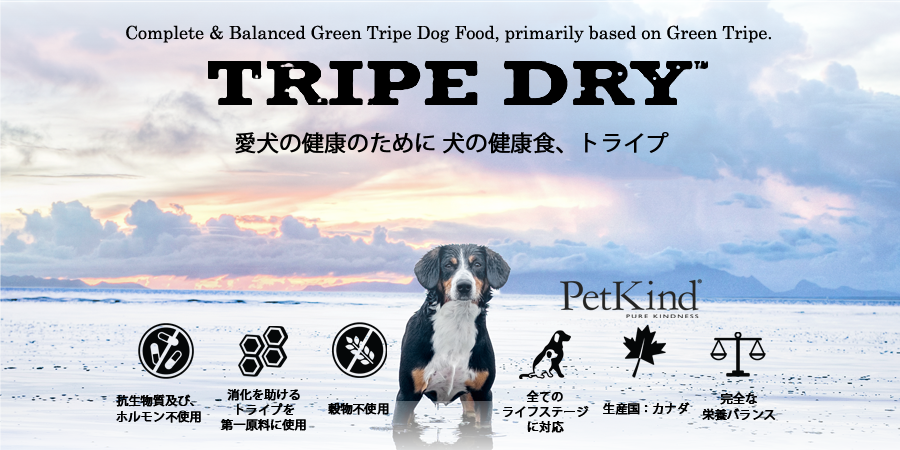 穀物不使用ドッグフード専門店 Apple Dog アップルドッグ 穀物不使用ドッグフード専門店 Apple Dog アップルドッグ