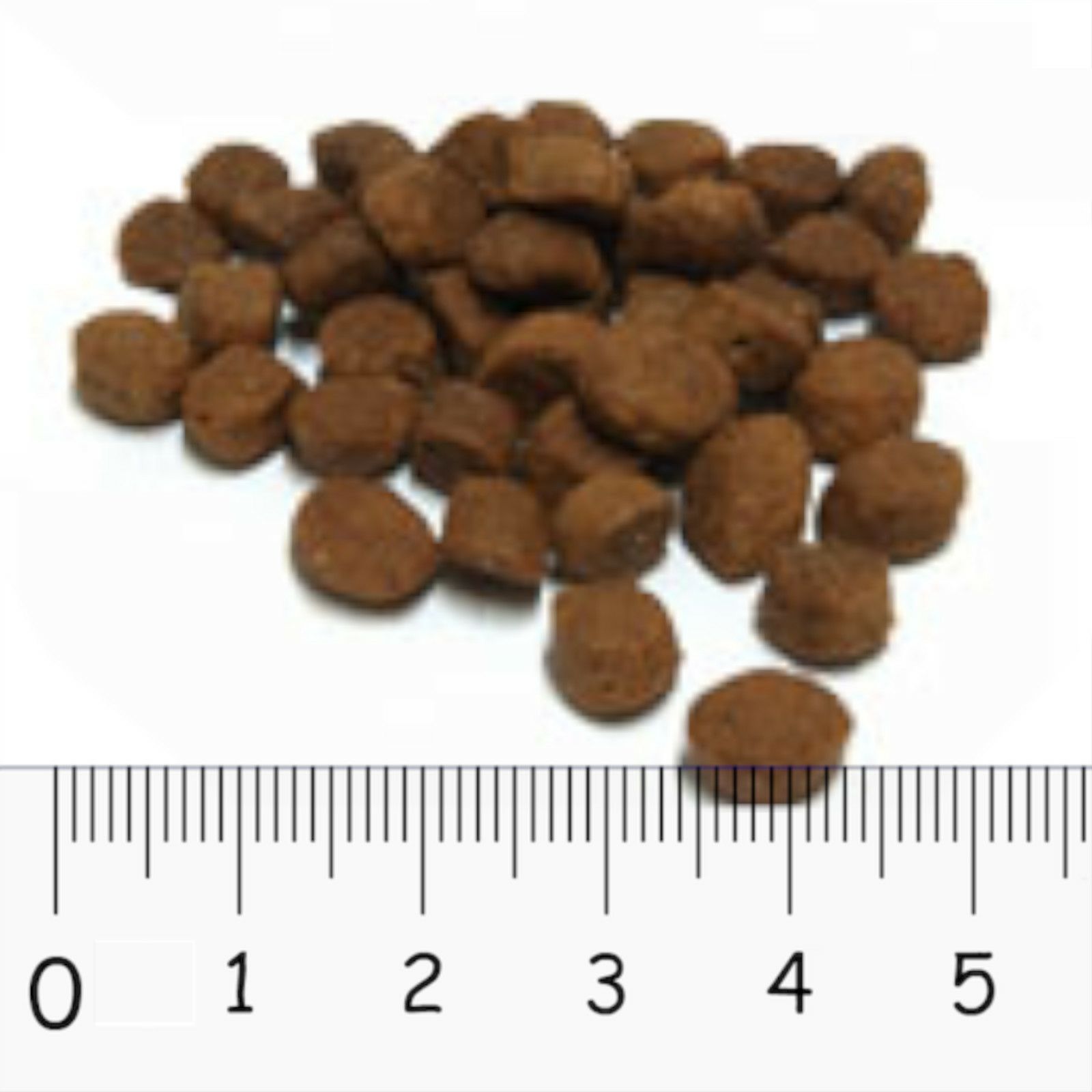TRIPE DRY （トライプドライ）　グリーンビーフトライプ SAP（小粒）　2.72kg　粒